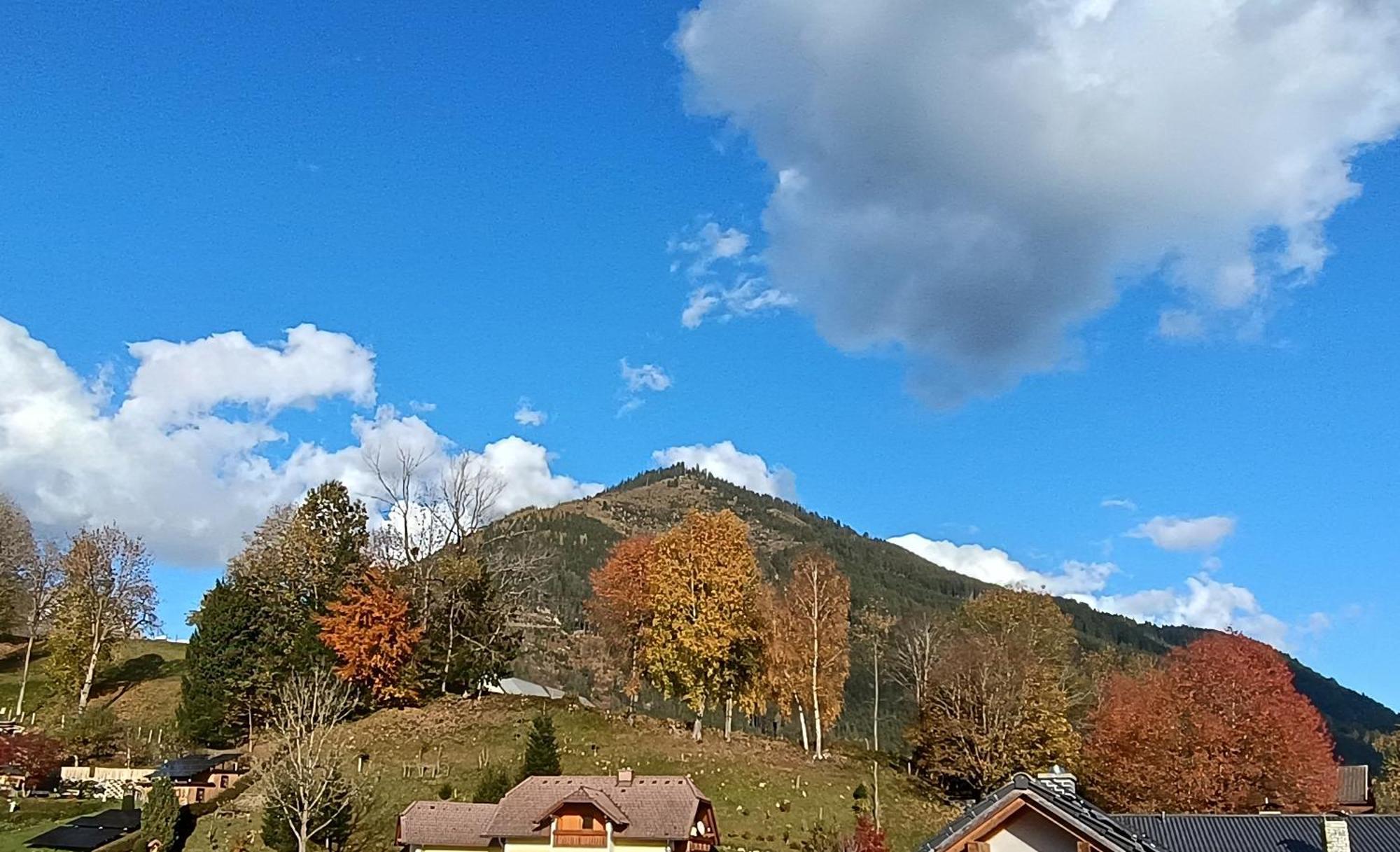 Ferienwohnung Ardning エクステリア 写真